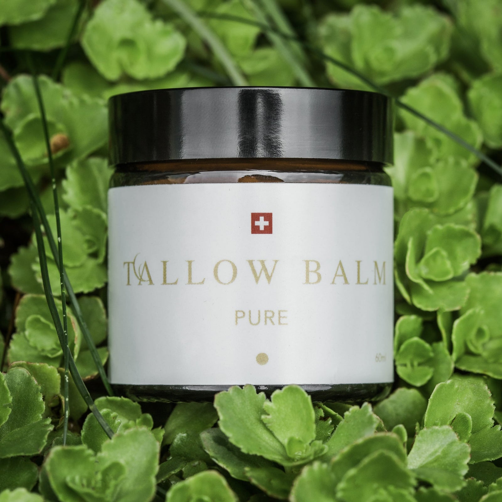 Tallow Balm Pure auf grünem Blattwerk fotografiert