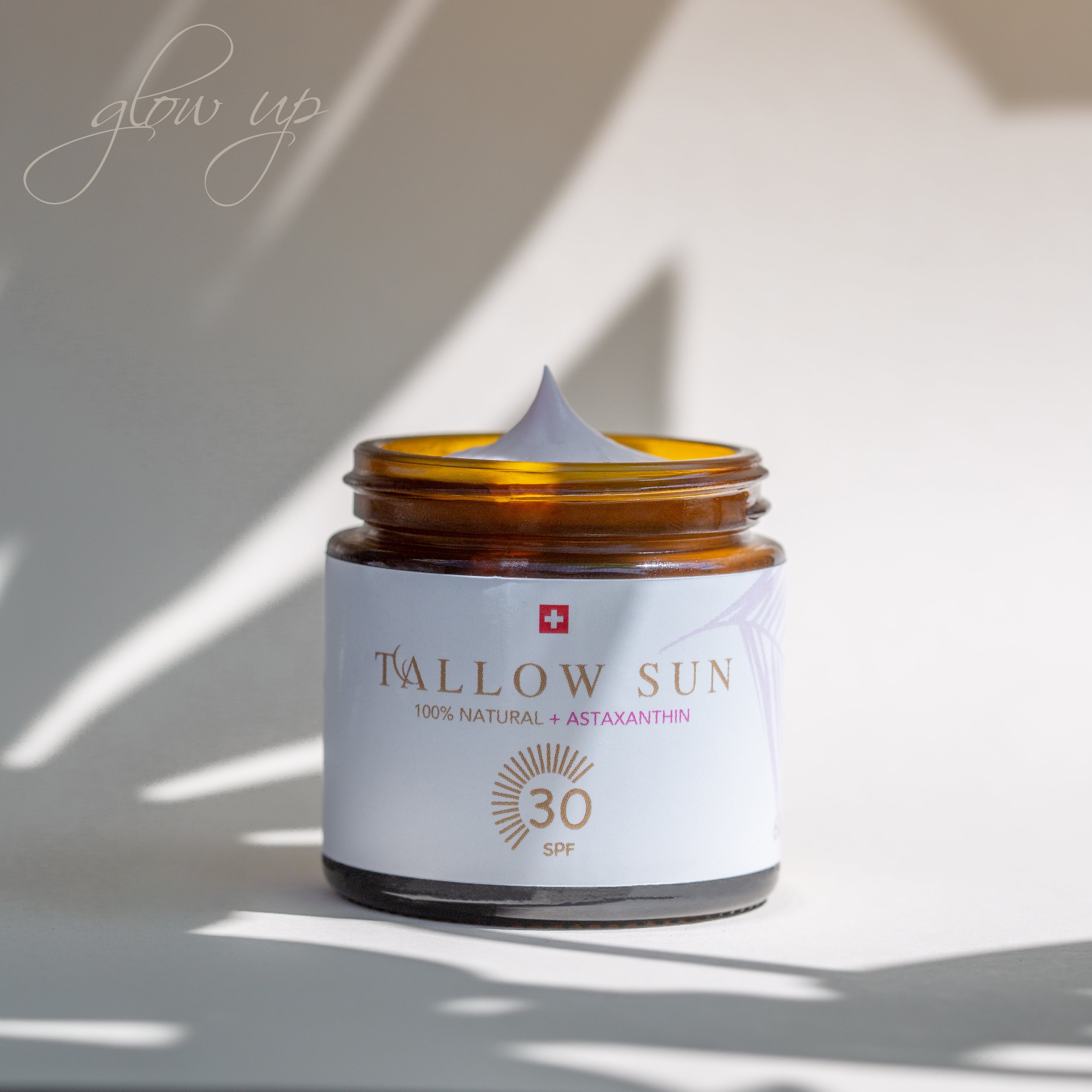 Tallow Sun mit weißem Hintergrund mit Sonnenlicht

