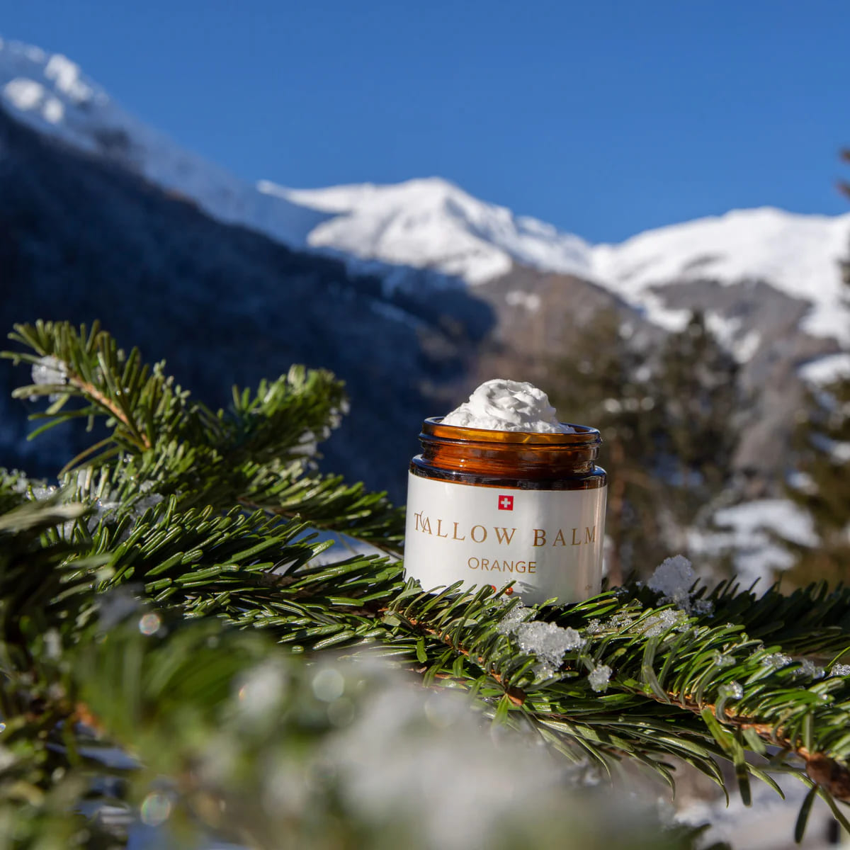 Swiss Tallow Balm Orange auf einem verschneiten Tannenzweig mit den Schweizer Alpen im Hintergrund 