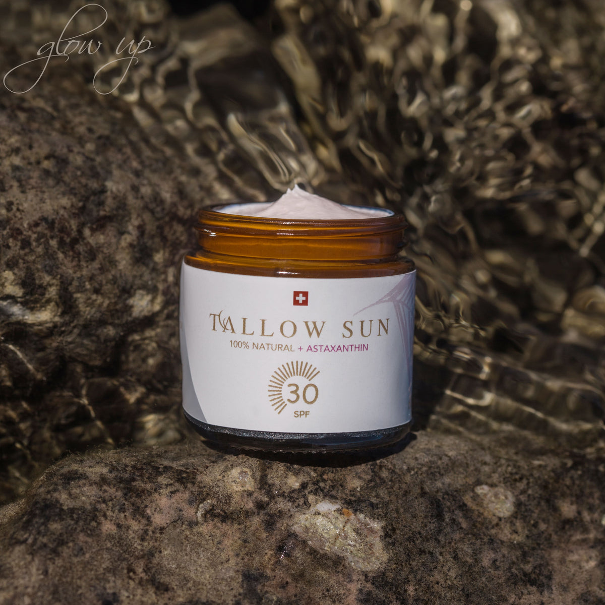 Swiss Tallow Sun auf felsigem Untergrund im Gebirge