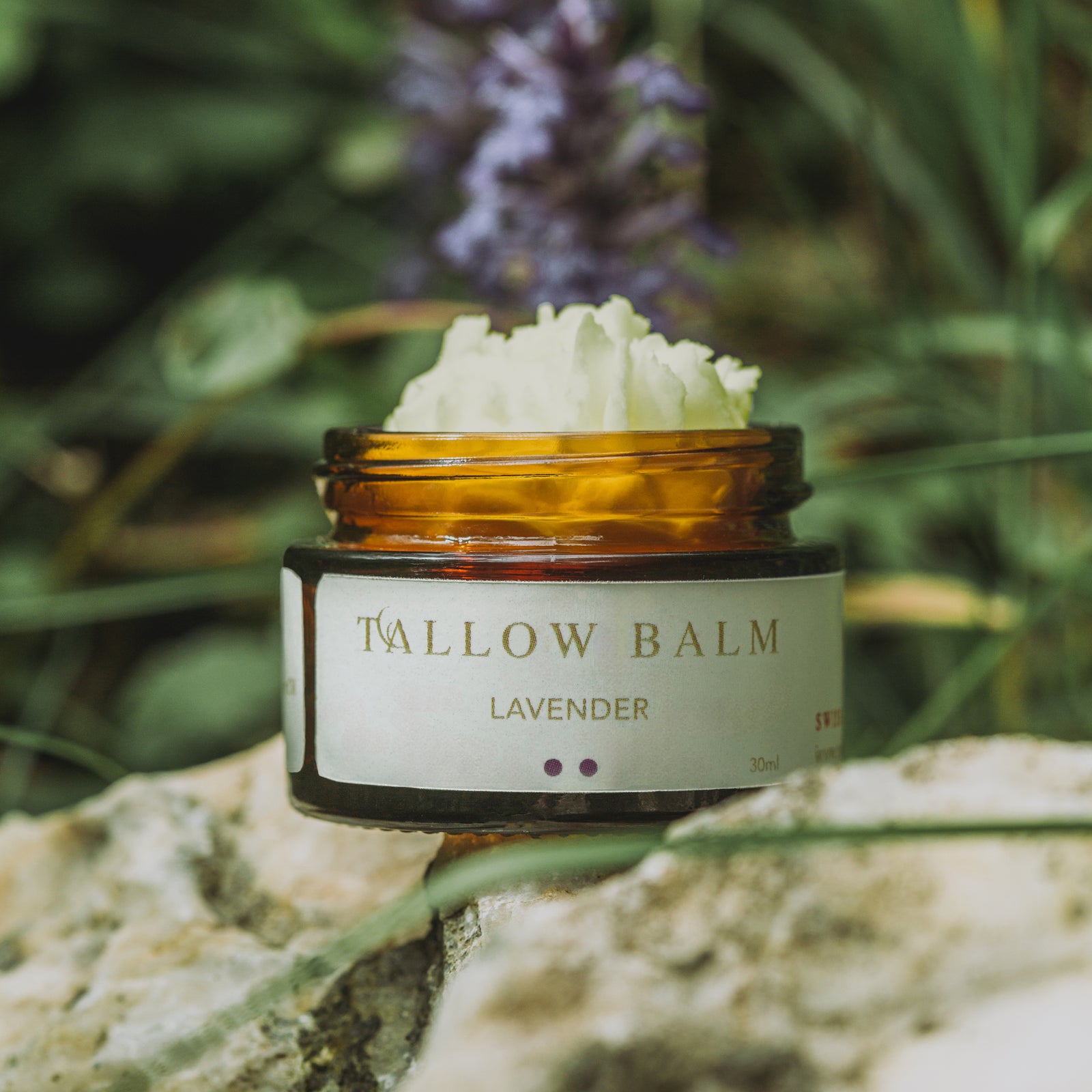 Tallow Balm Lavender auf Stein, im Hintergrund Lavendelblüten